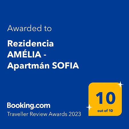 Rezidencia Amelia - Apartman Sofia Бардеевские Купели Экстерьер фото