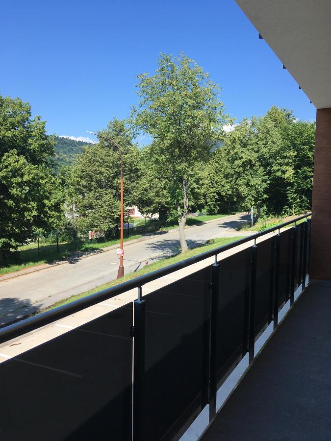 Rezidencia Amelia - Apartman Sofia Бардеевские Купели Экстерьер фото